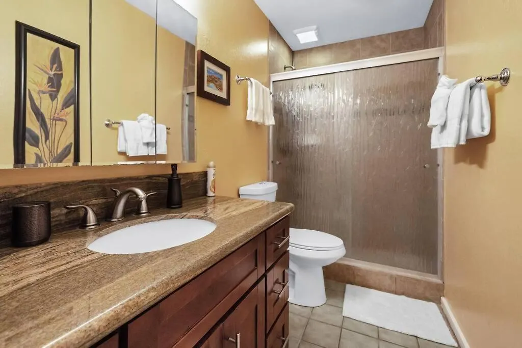 Oceanfront With Aircon-Hear The Waves-Amazing Views-Wifi Apartment Lahaina United States